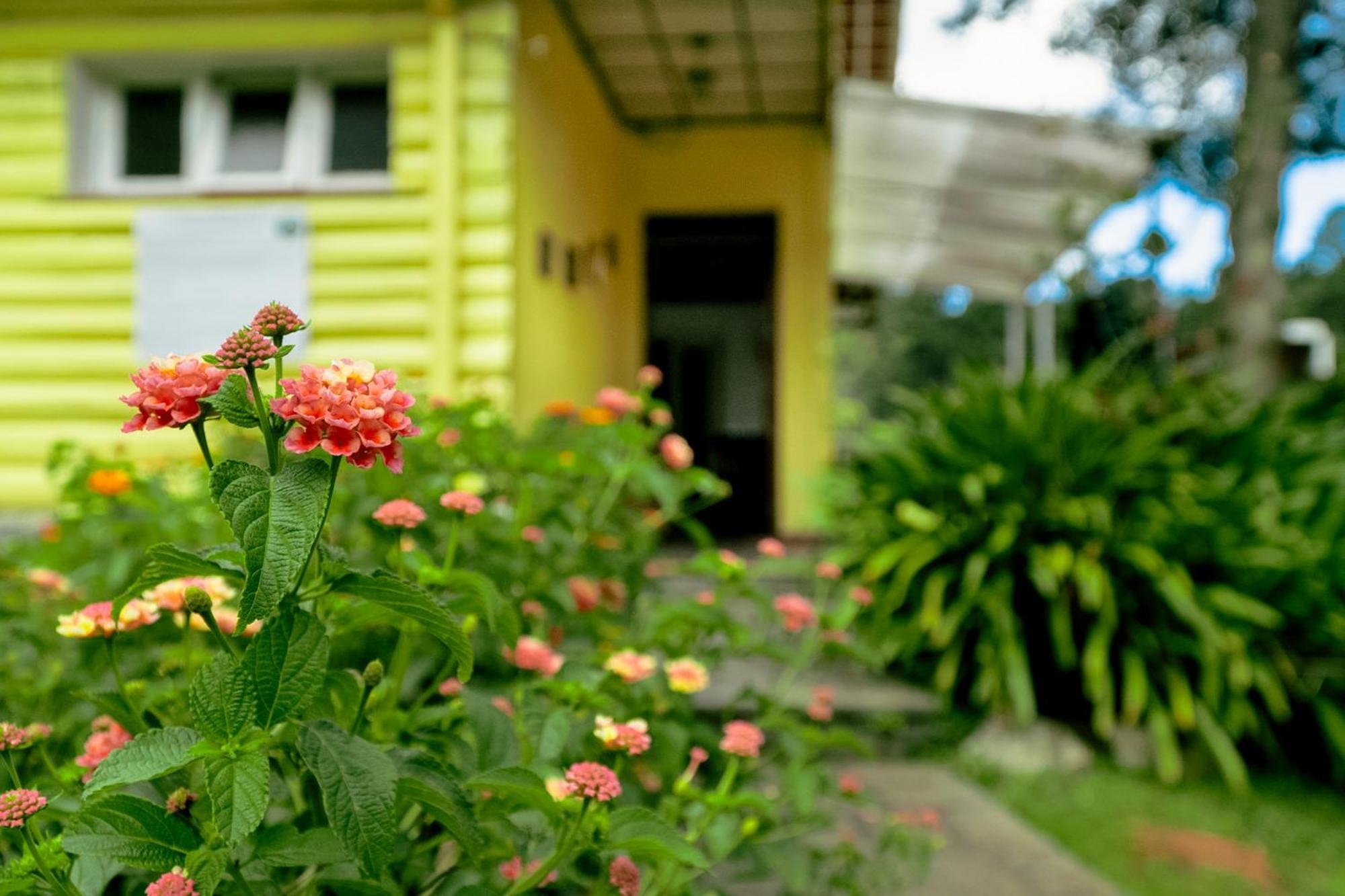Velinn Pousada Casa De Campos Capivari House Campos do Jordão Екстериор снимка